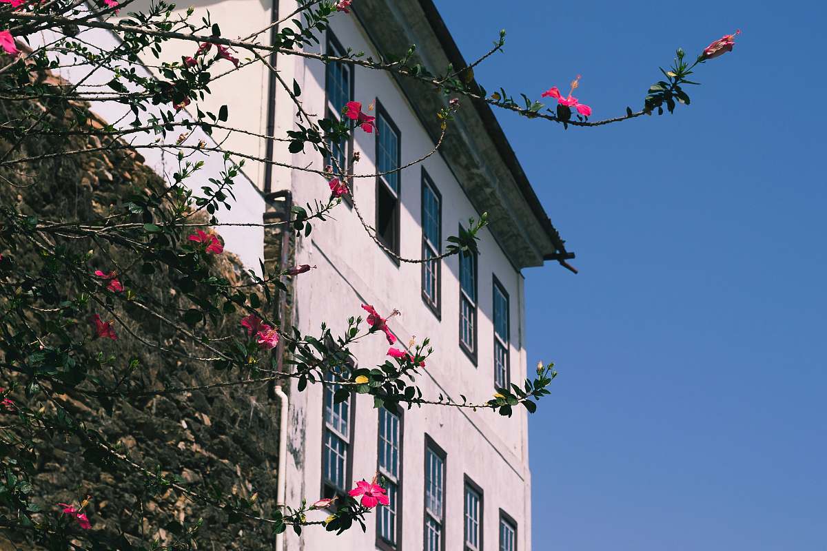 home decor white building beside tree ouro preto